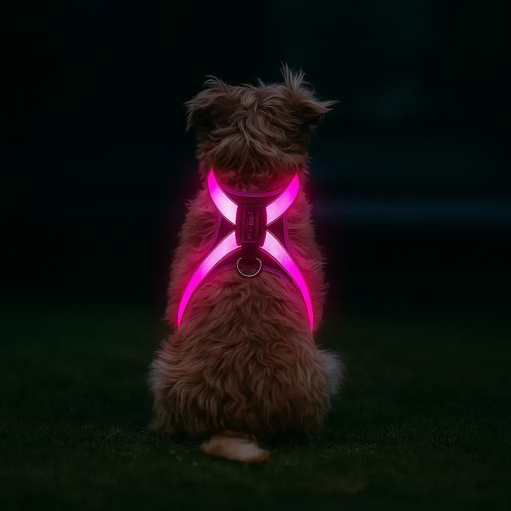LumiPaw – Rechargeable Multicolour LED Dog Harness