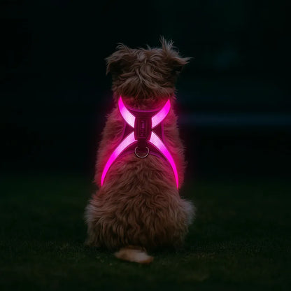 LumiPaw – Rechargeable Multicolour LED Dog Harness