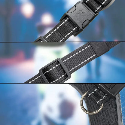 LumiPaw – Rechargeable Multicolour LED Dog Harness