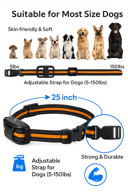 Bricodil Advanced Dog Training Collar – 2600m Remote | BCD7285