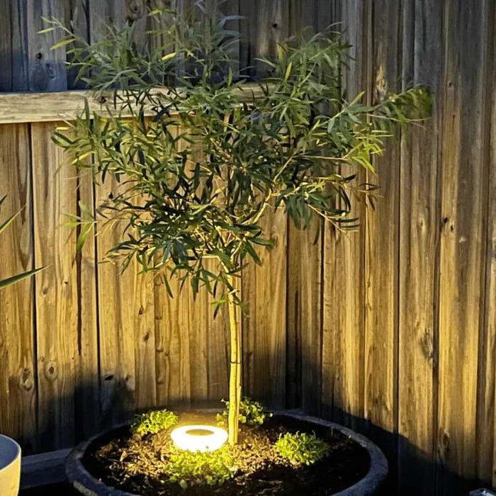 SunBeam – Rust-Proof Solar LED Ground Garden Lights