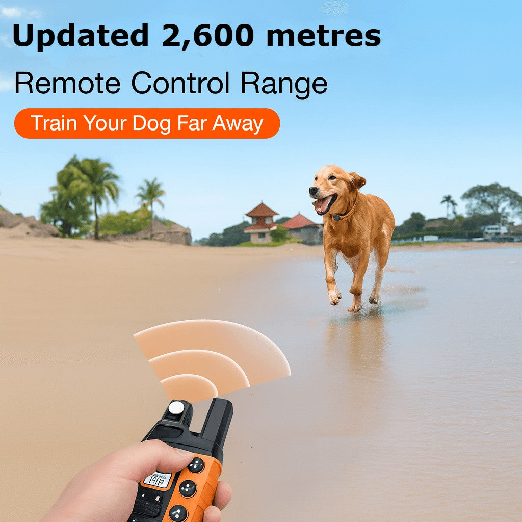 Bricodil Advanced Dog Training Collar – 2600m Remote | BCD7285