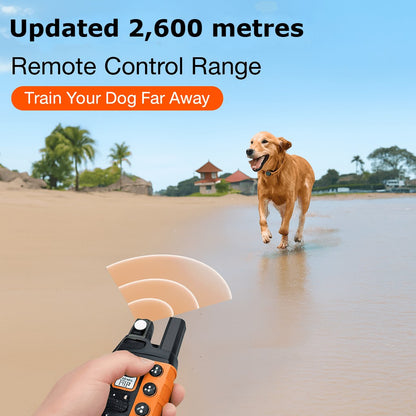 Bricodil Advanced Dog Training Collar – 2600m Remote | BCD7285